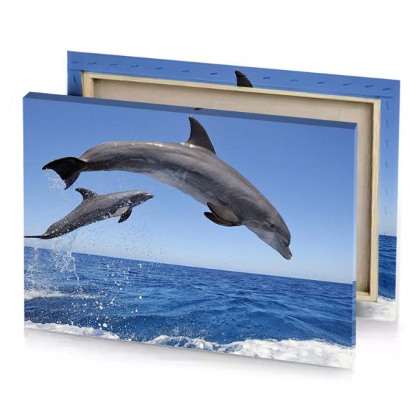 two dolphins jumping out of the water light steel blue canvas - Image 4