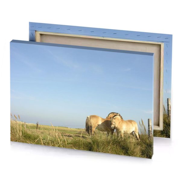 two horses standing in a field of tall grass light blue canvas - Image 4