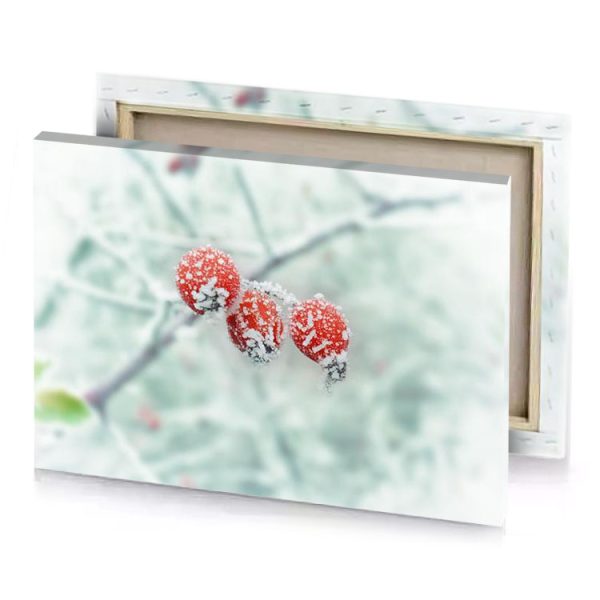 two red berries covered in snow on a branch silver canvas - Image 4