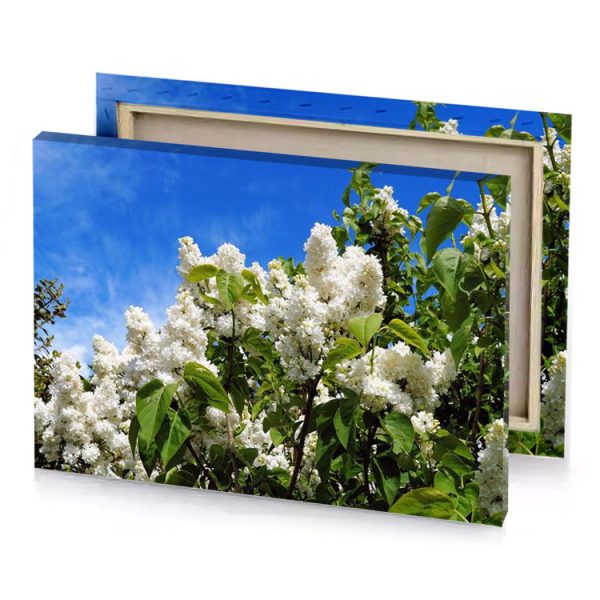 white flowers against a blue sky royal canvas - Image 4