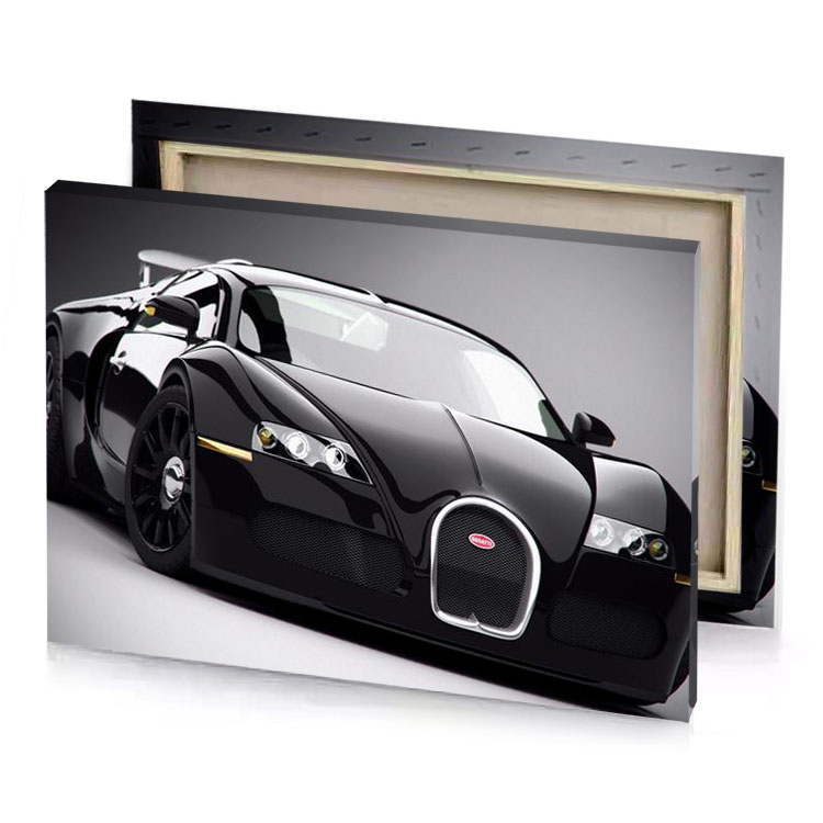 a black and white bug smoky canvas