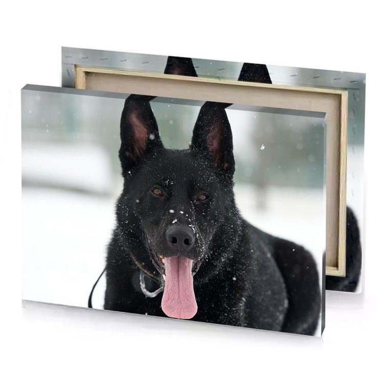 a black dog with its tongue out in the snow bistre canvas
