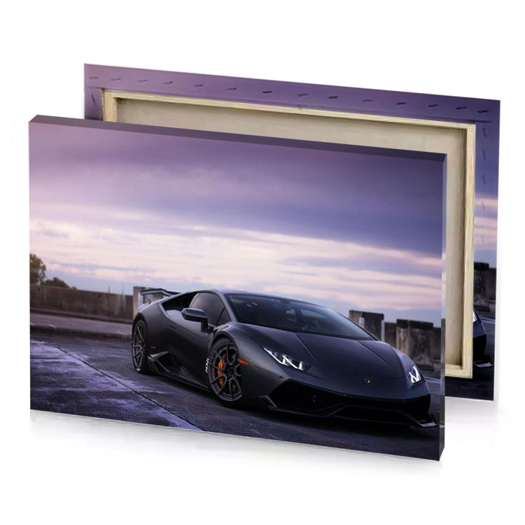 a black lamb car platinum canvas