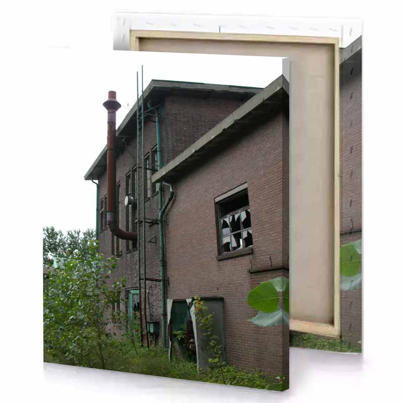 a brick building with fire hydrant in the window dim gray canvas