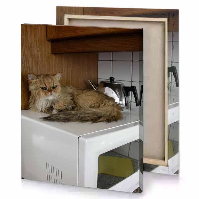 a cat laying on top of microwave dark olive green canvas