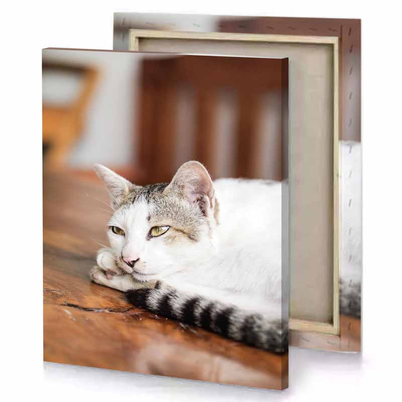 a cat laying on wooden table linen canvas