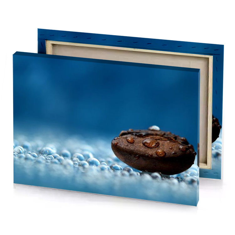 a chocolate cookie with water droplets on it blue sapphire canvas