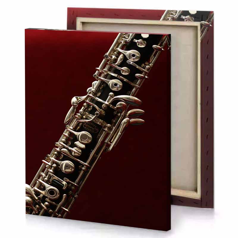 a clarinet with black and silver body bistre canvas