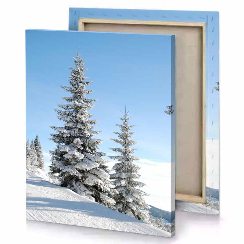 a clear blue sky light canvas