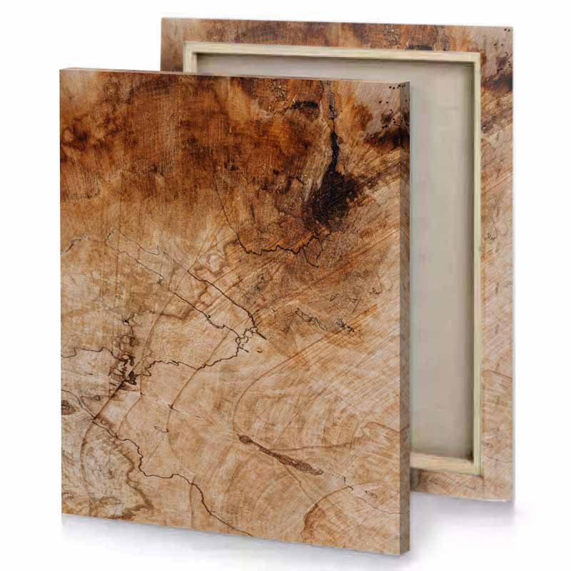 a close up of tree trunk rosy brown canvas