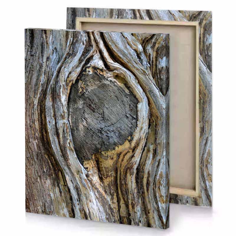 a close up of tree trunk with heart in it dim gray canvas