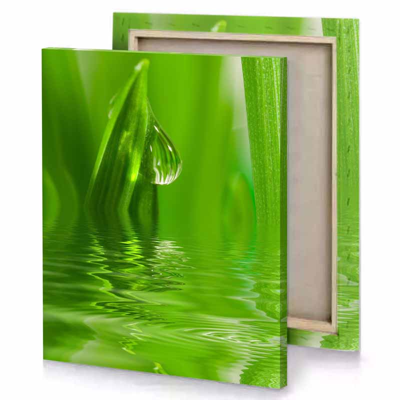 a close up of water drop on blade grass kelly green canvas