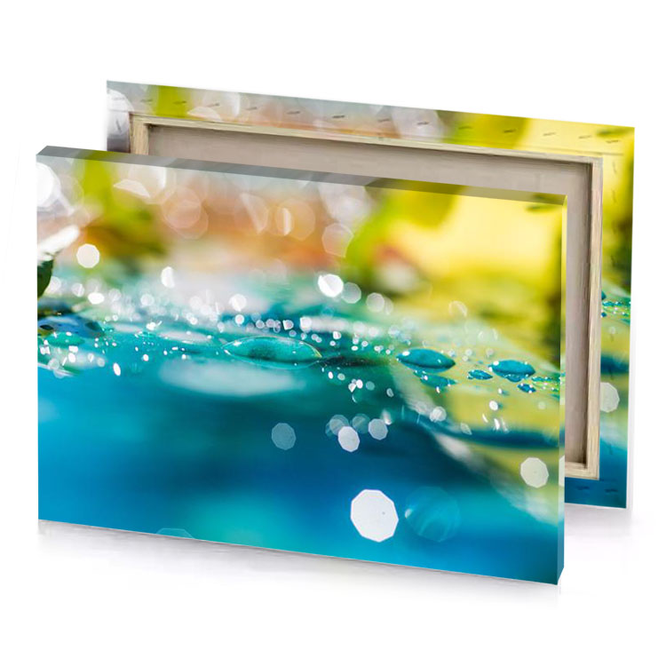 a close up of water droplets on leaf blue sapphire canvas