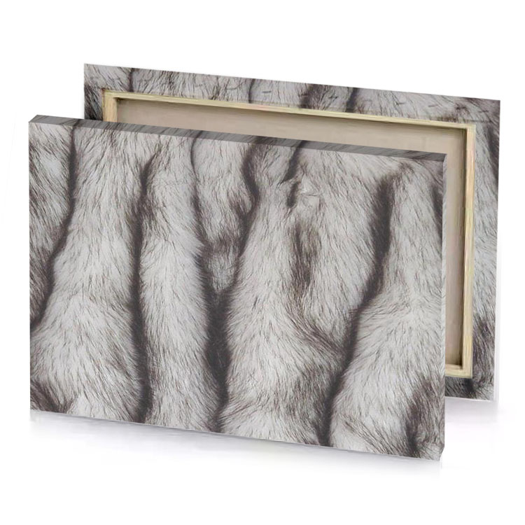 a close up of white fur silver canvas