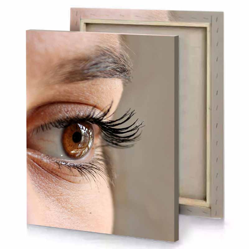 a close up of woman s eye with long eyelashes mountbatten pink canvas