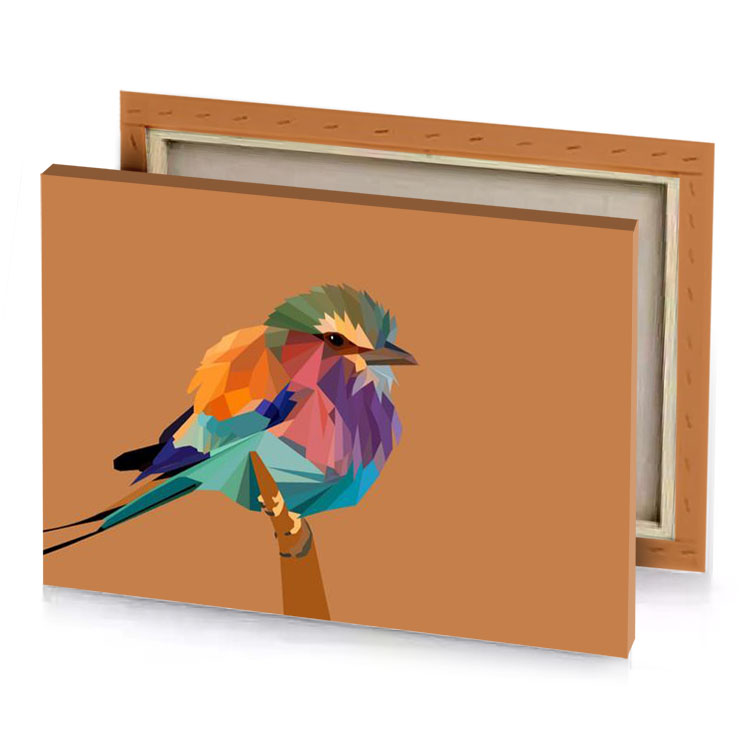a colorful bird sitting on branch dim gray canvas