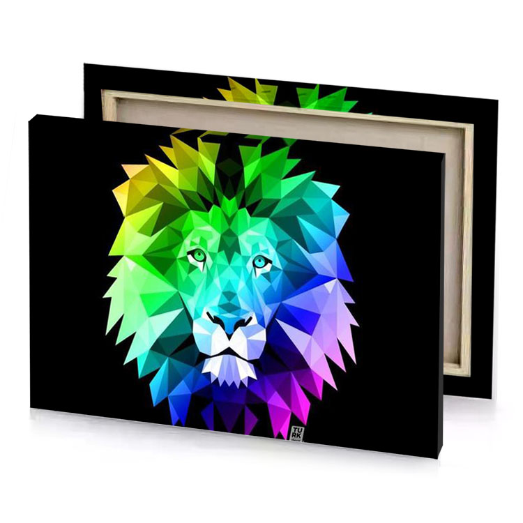 a colorful lion head on black background turquoise canvas
