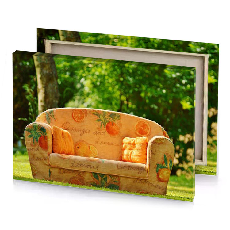 a couch with cat sitting on it peru canvas