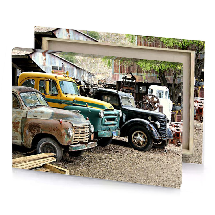 a couple of old trucks parked in yard viridian canvas