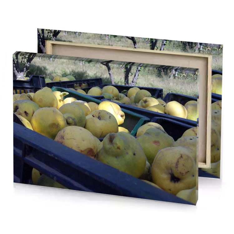 a crate of apples mountbatten pink canvas