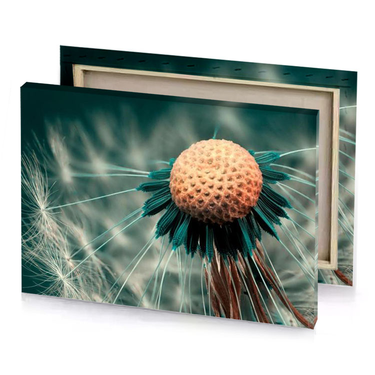 a dany flower with blue center burlywood canvas
