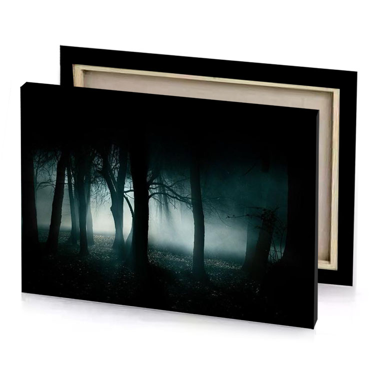 a dark forest with fog and trees prussian blue canvas