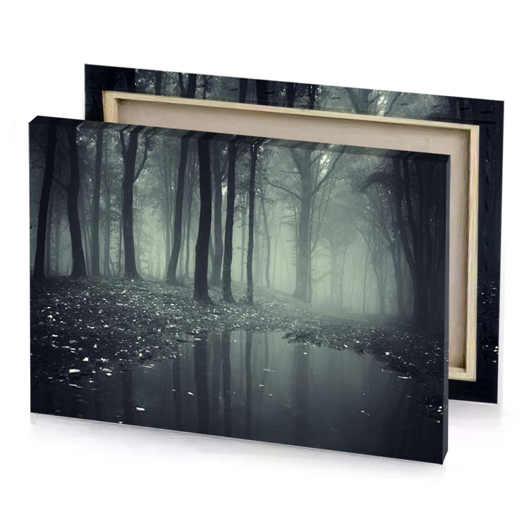 a dark forest with water and leaves manatee canvas