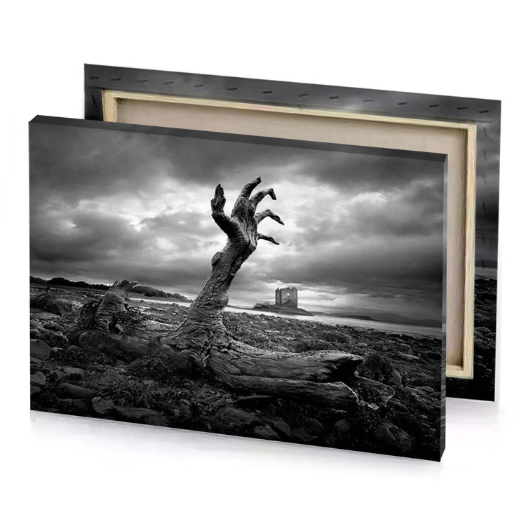 a dead tree on the beach with cloudy sky in silver canvas