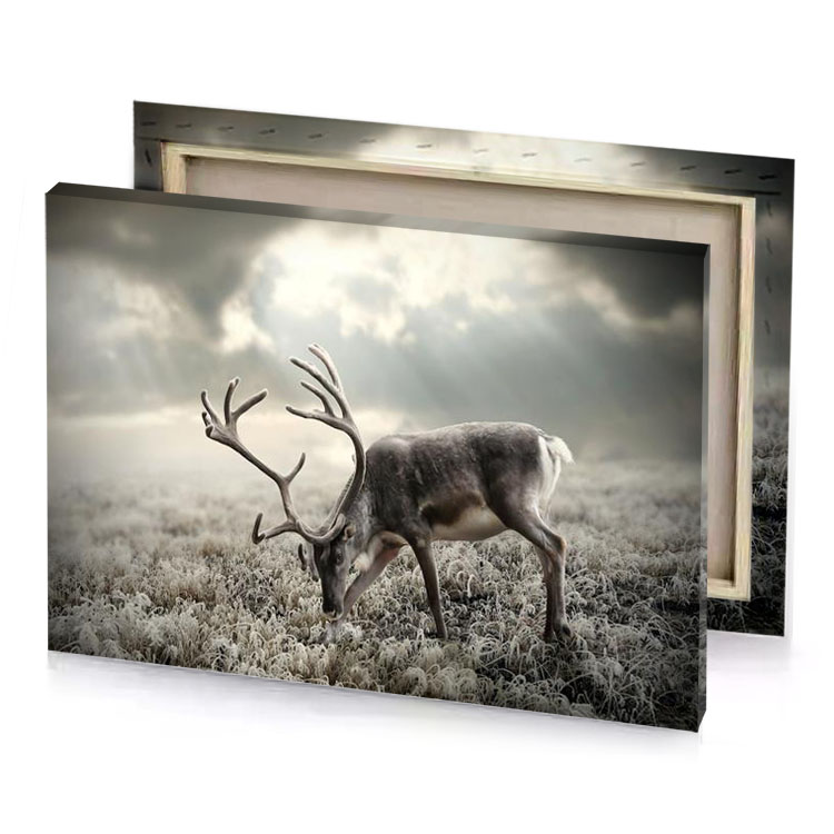 a deer grazing in field with cloudy sky silver canvas