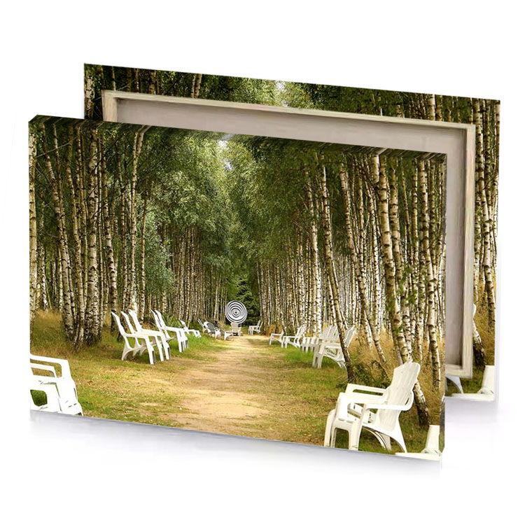 a dirt path burlywood canvas
