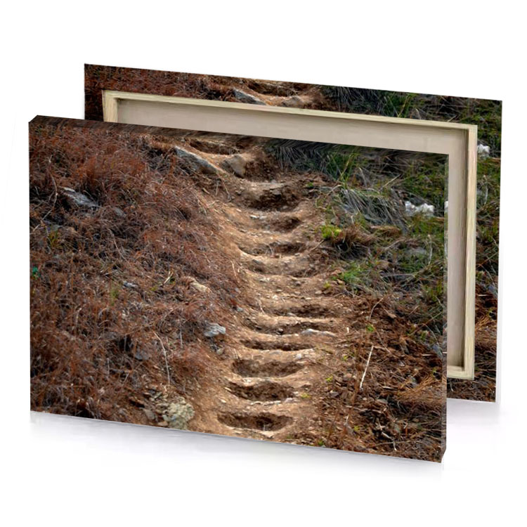 a dirt path in the woods camouflage green canvas