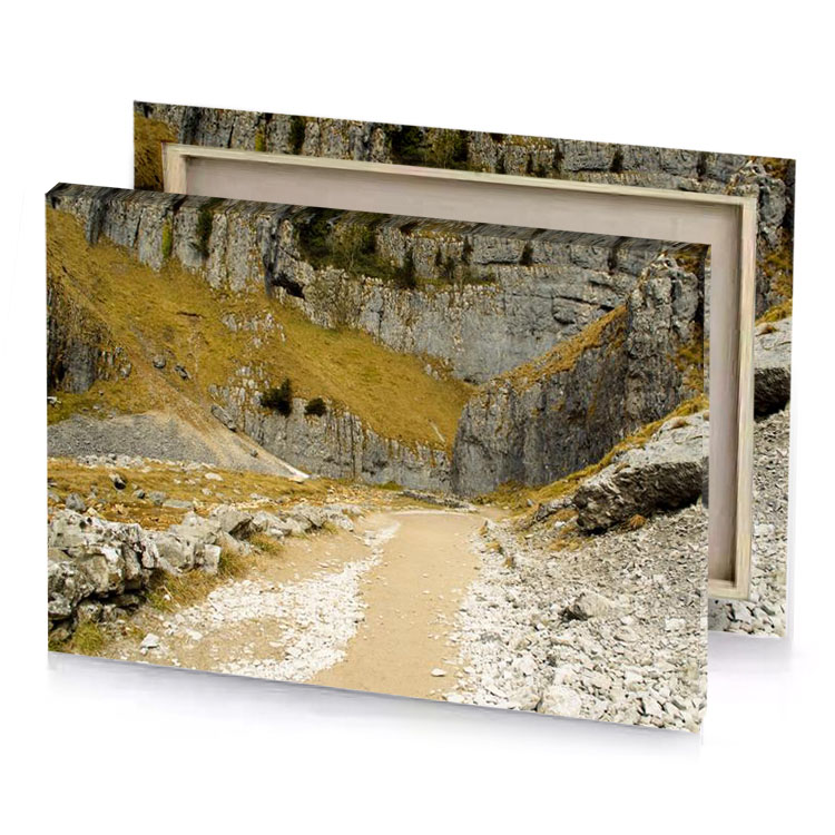 a dirt path leading to rocky mountain copper canvas
