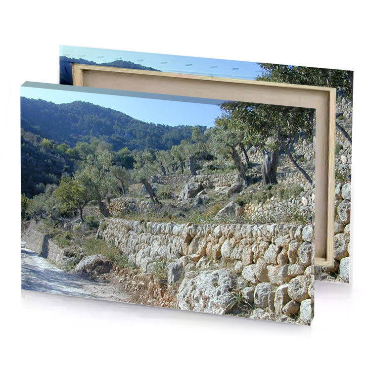 a dirt road camouflage green canvas