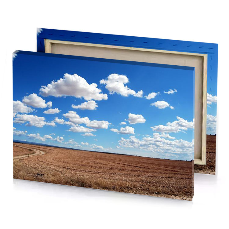 a dirt road in field with blue sky iceberg canvas