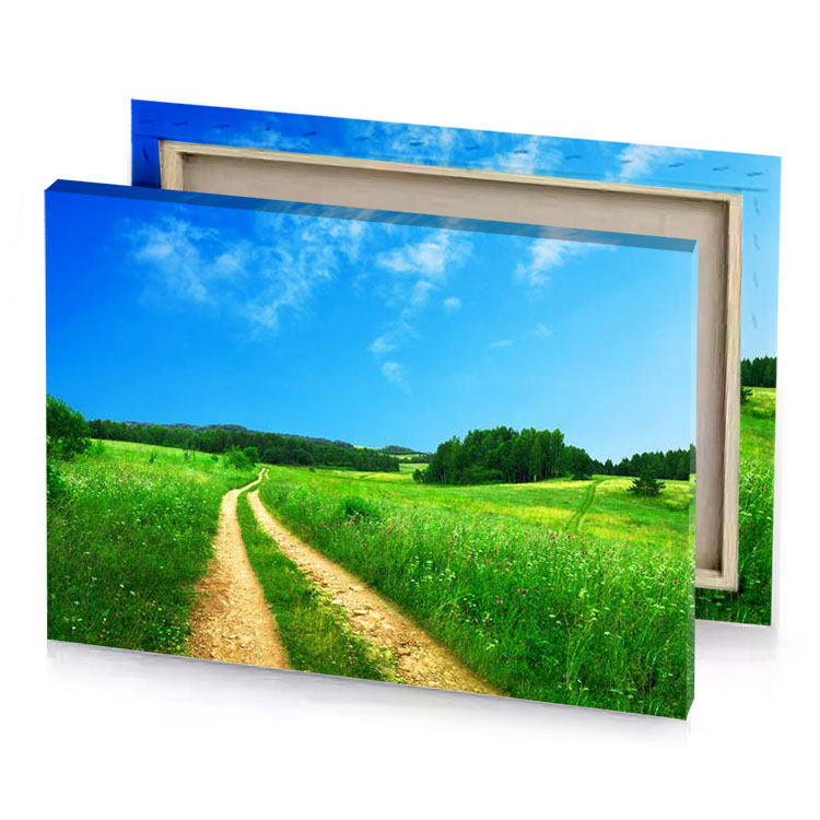 a dirt road in field with flowers and trees blue jeans canvas