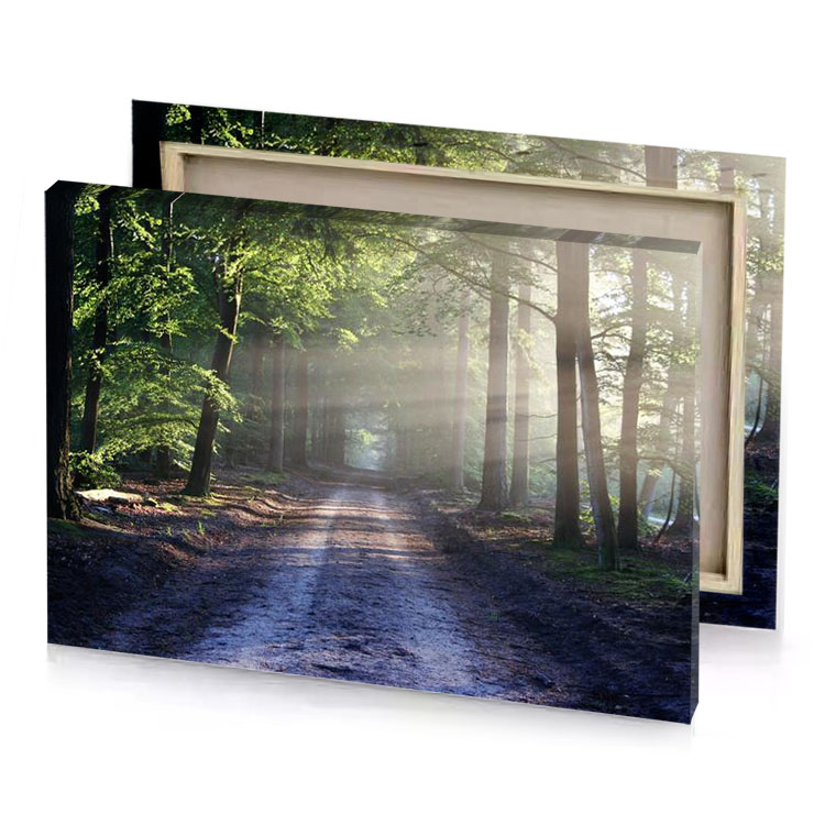 a dirt road in the woods with sun shining through camouflage green canvas