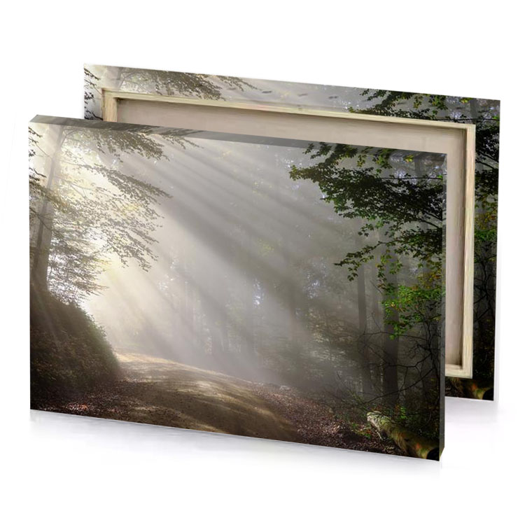 a dirt road in the woods with sunbeams rose quartz canvas