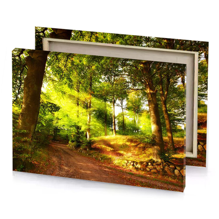 a dirt road in the woods with trees banana yellow canvas