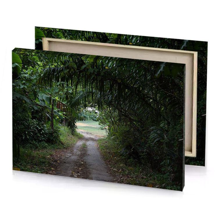 a dirt road with bunch of trees on both sides hunter green canvas