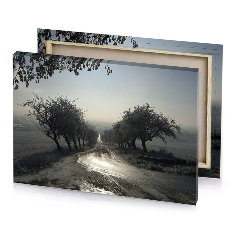 a dirt road with trees and sign silver canvas