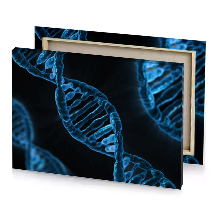 a dna is shown in this und 3d image smoky black canvas