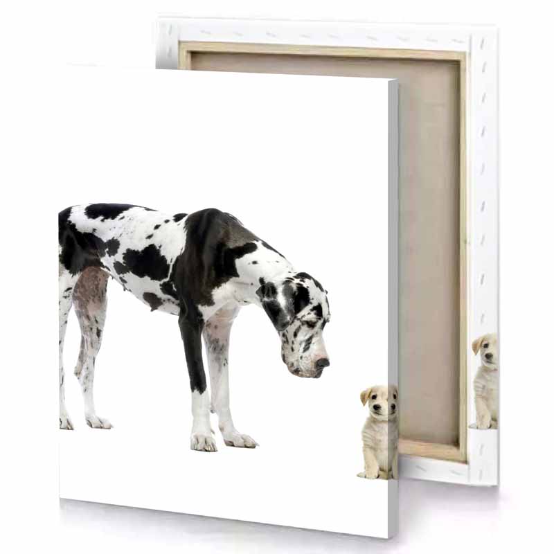 a dog and puppy are standing together smoky black canvas