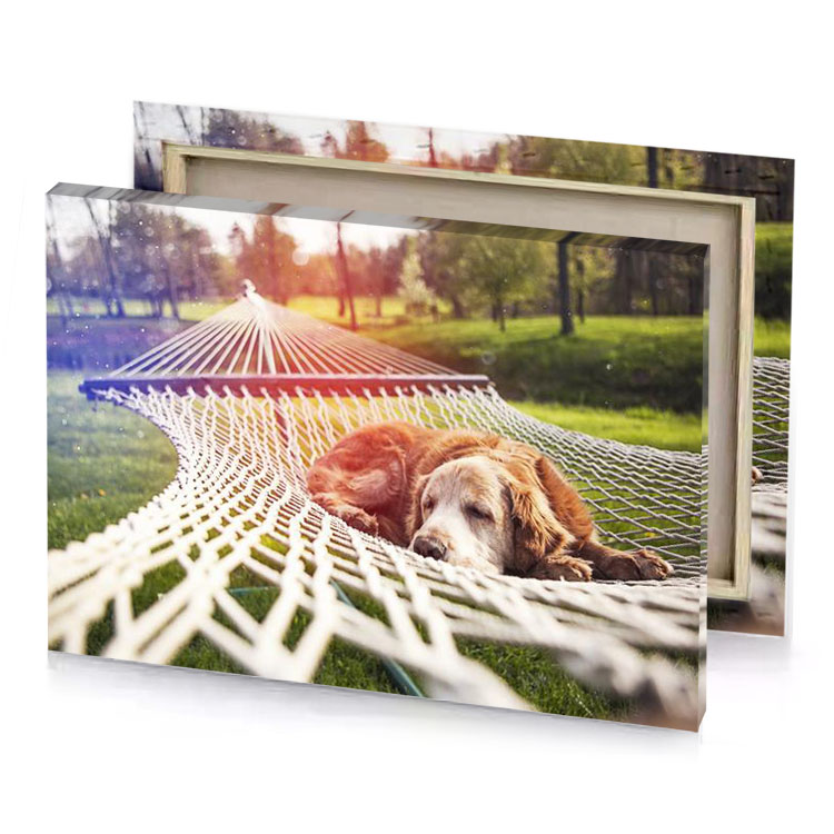 a dog laying in ham burlywood canvas