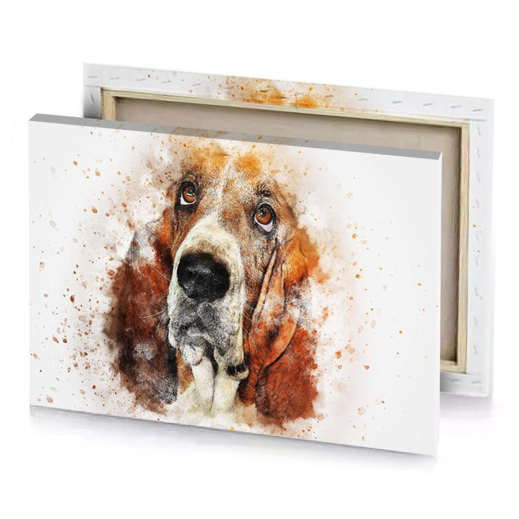 a dog with big brown eye saddle canvas