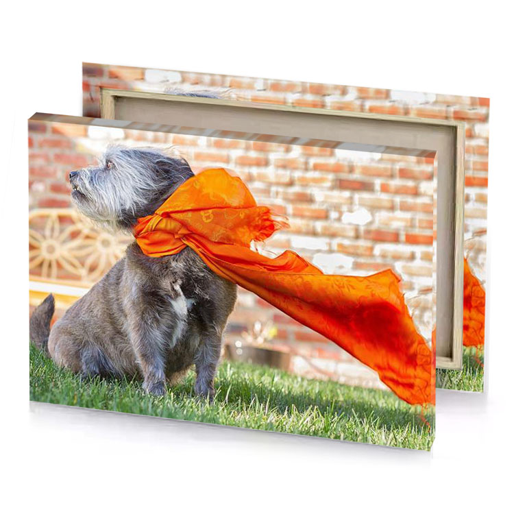 a dog with scarf on its neck firebrick canvas