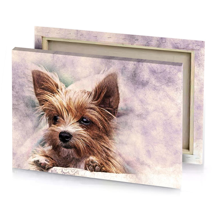 a dog with white blanket garnet canvas