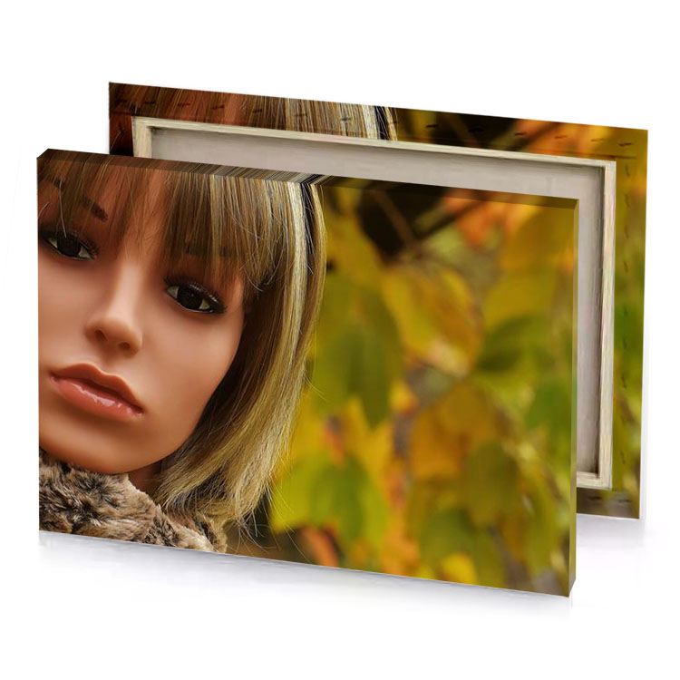 a doll with blonde hair and fur coat bistre canvas