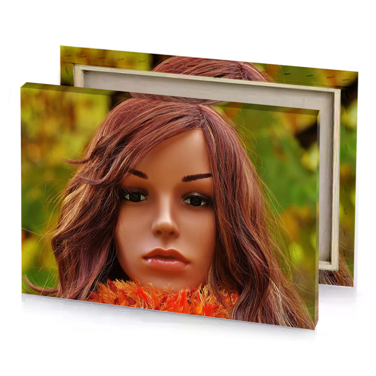 a doll with long hair and flower in her mouth zinnwaldite brown canvas