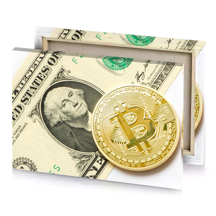 a dollar and bit coin on white surface fawn canvas