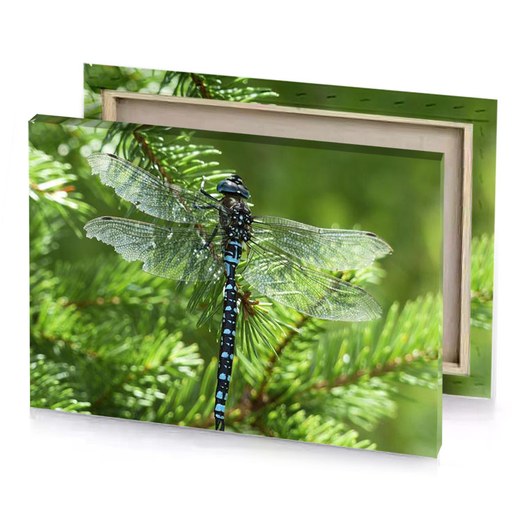 a dragon sitting on branch of tree dark olive green canvas